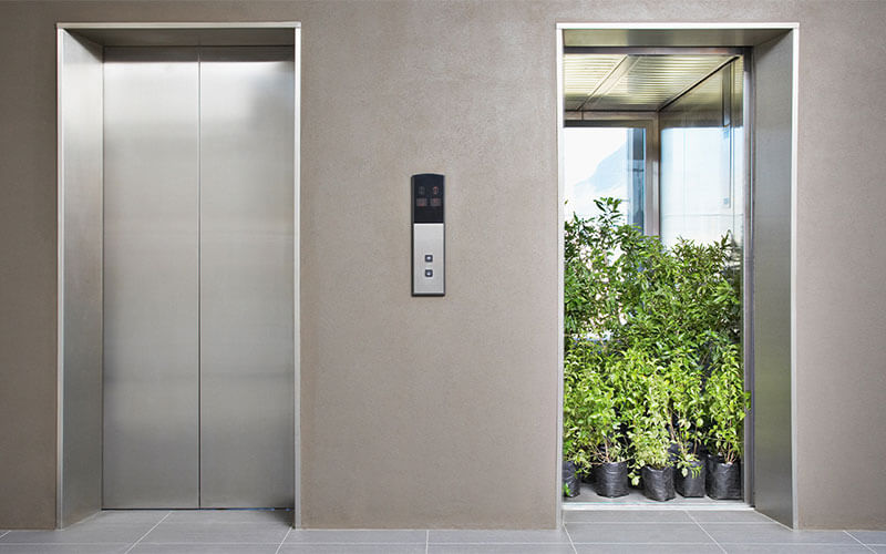 Elevate Your Standards: Verifyne Lift Consulting Services Unveiled